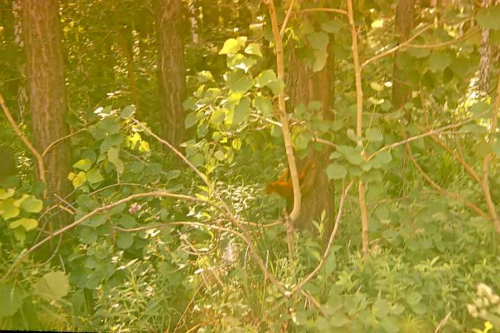 nov1978_0059.jpg