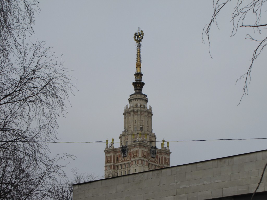 IMG_1762.jpg